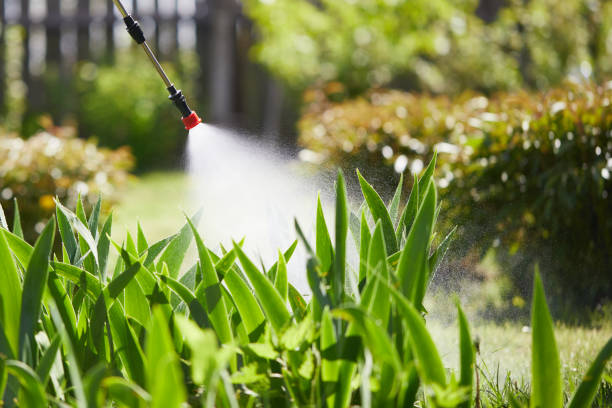 Tamper-Resistant Bait Stations for Rodents in Cowan