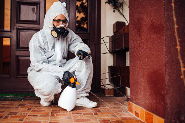 Attic and Crawl Space Rodent Treatment in Cowan