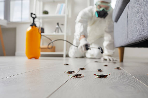 Commercial Rodent Management in Cowan